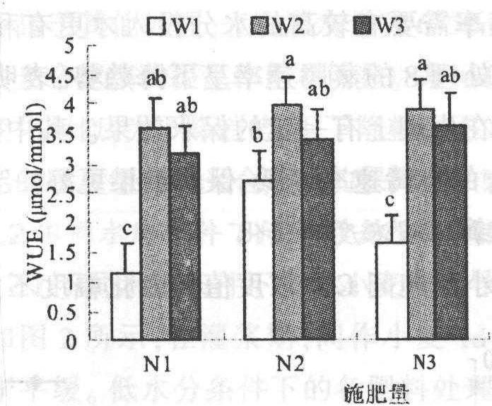 不同灌水量和施肥量對間作小麥光合特性的影響<sup>*</sup>